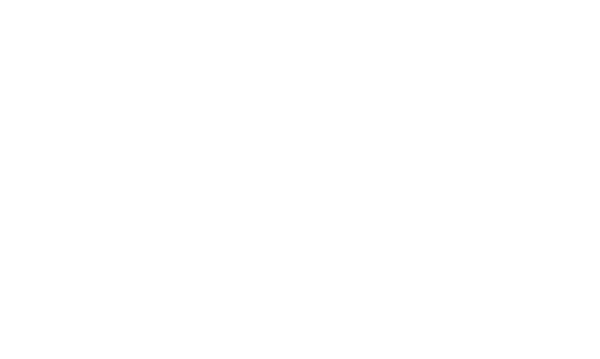STEEL